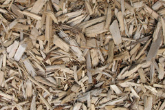 biomass boilers Radnor